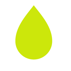 ネギ塩.png